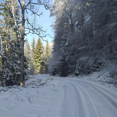 Au Milieu Des Alpages * Le Châtelard