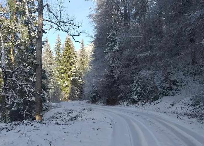 Au Milieu Des Alpages * Le Châtelard